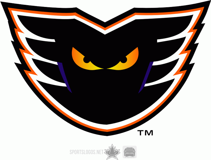 Adirondack Phantoms 2010 Primary Logo iron on heat transfer